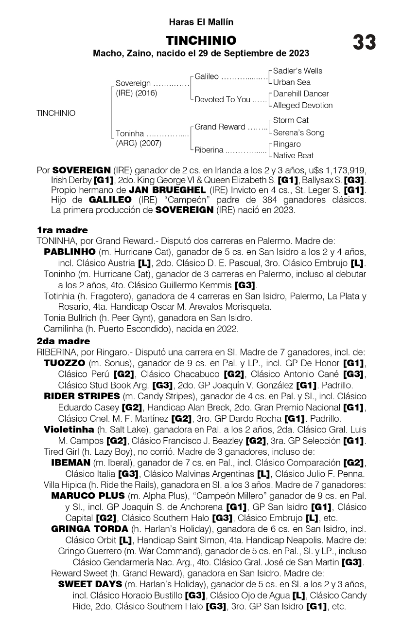 Pedigree TINCHINIO