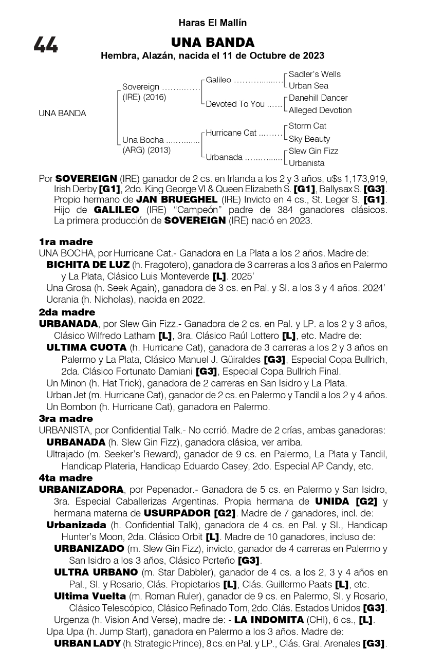 Pedigree UNA BANDA