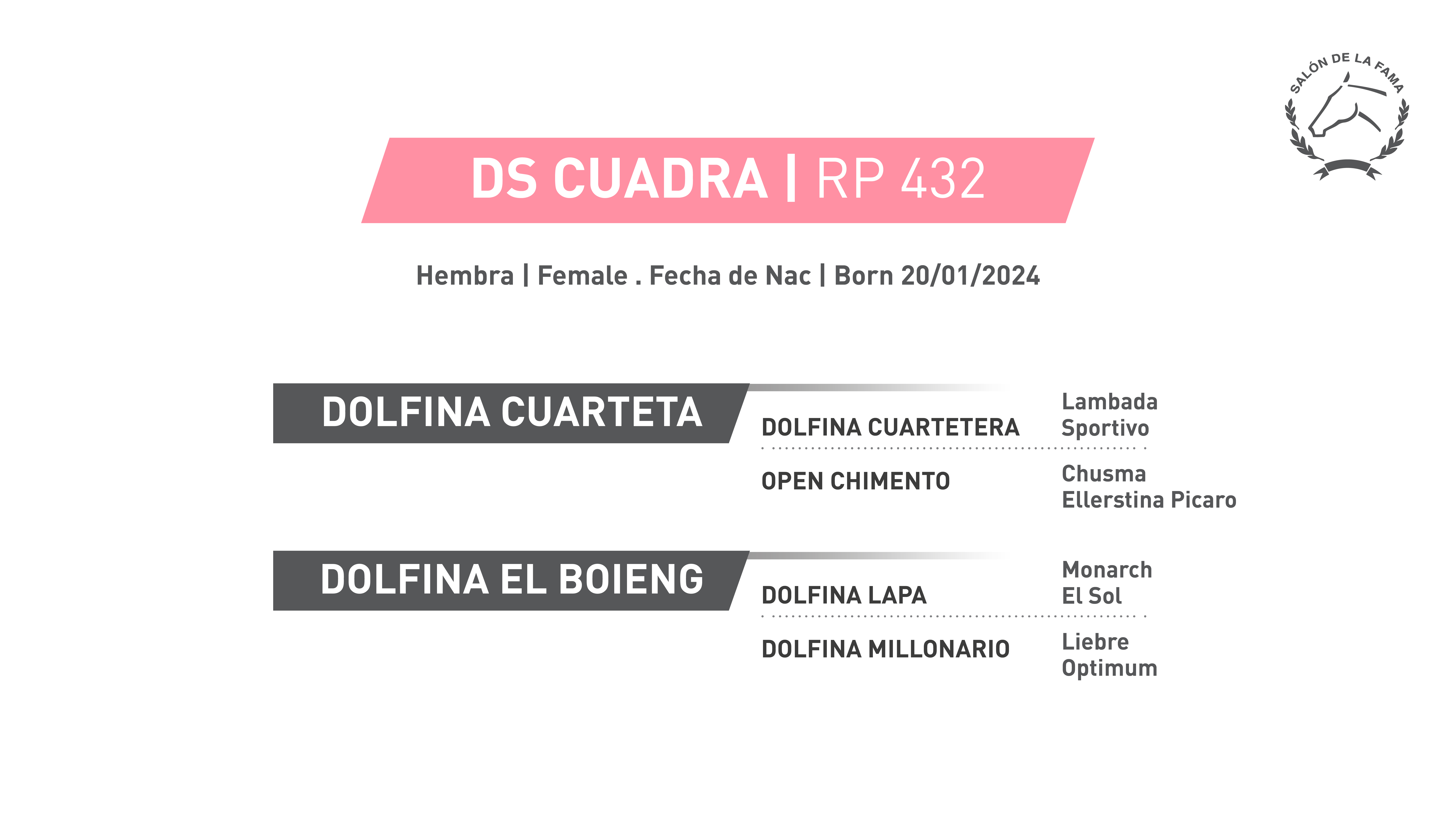 Pedigree RP 432 | DS CUADRA