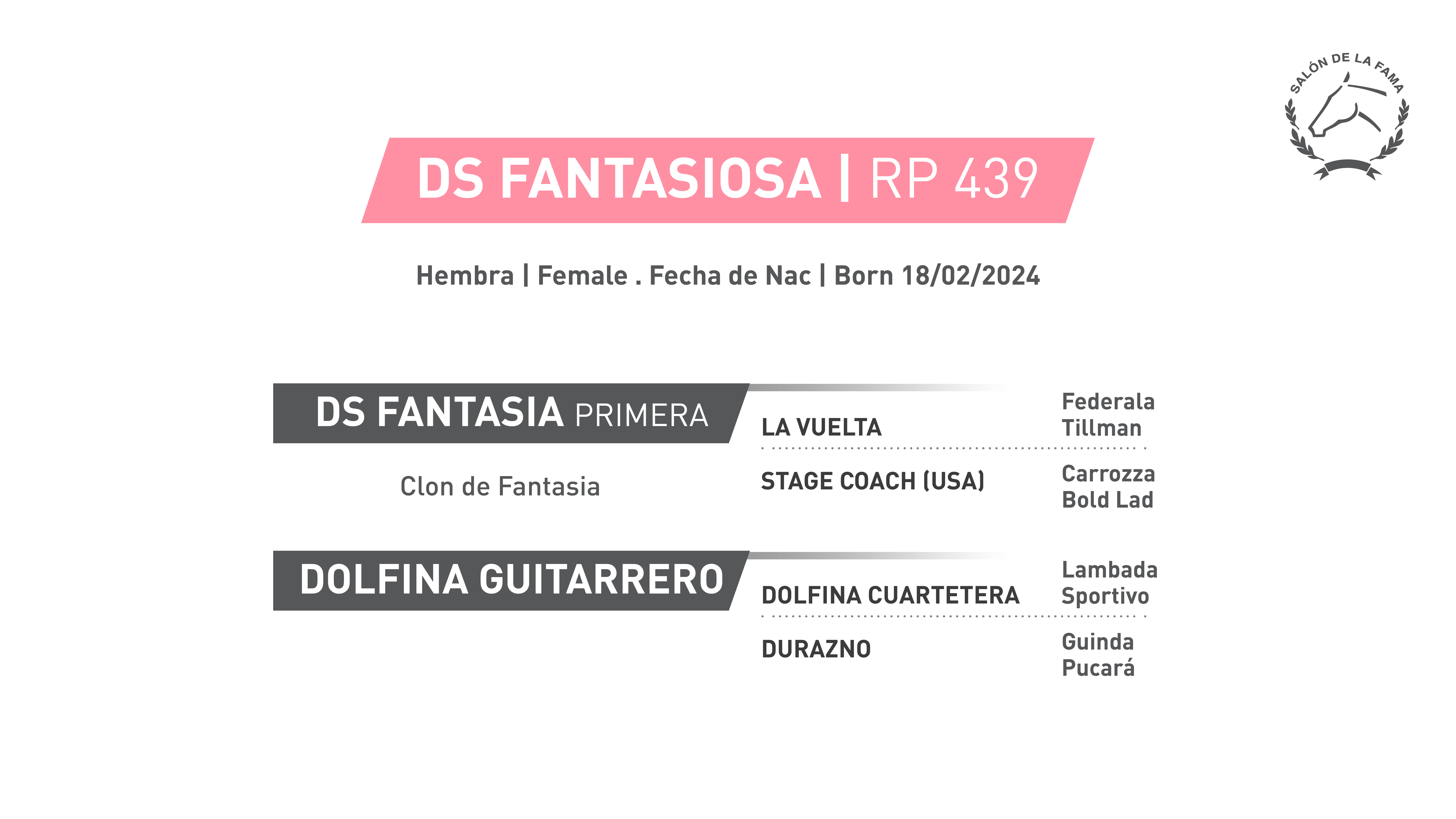 Pedigree RP 439 | DS FANTASIOSA