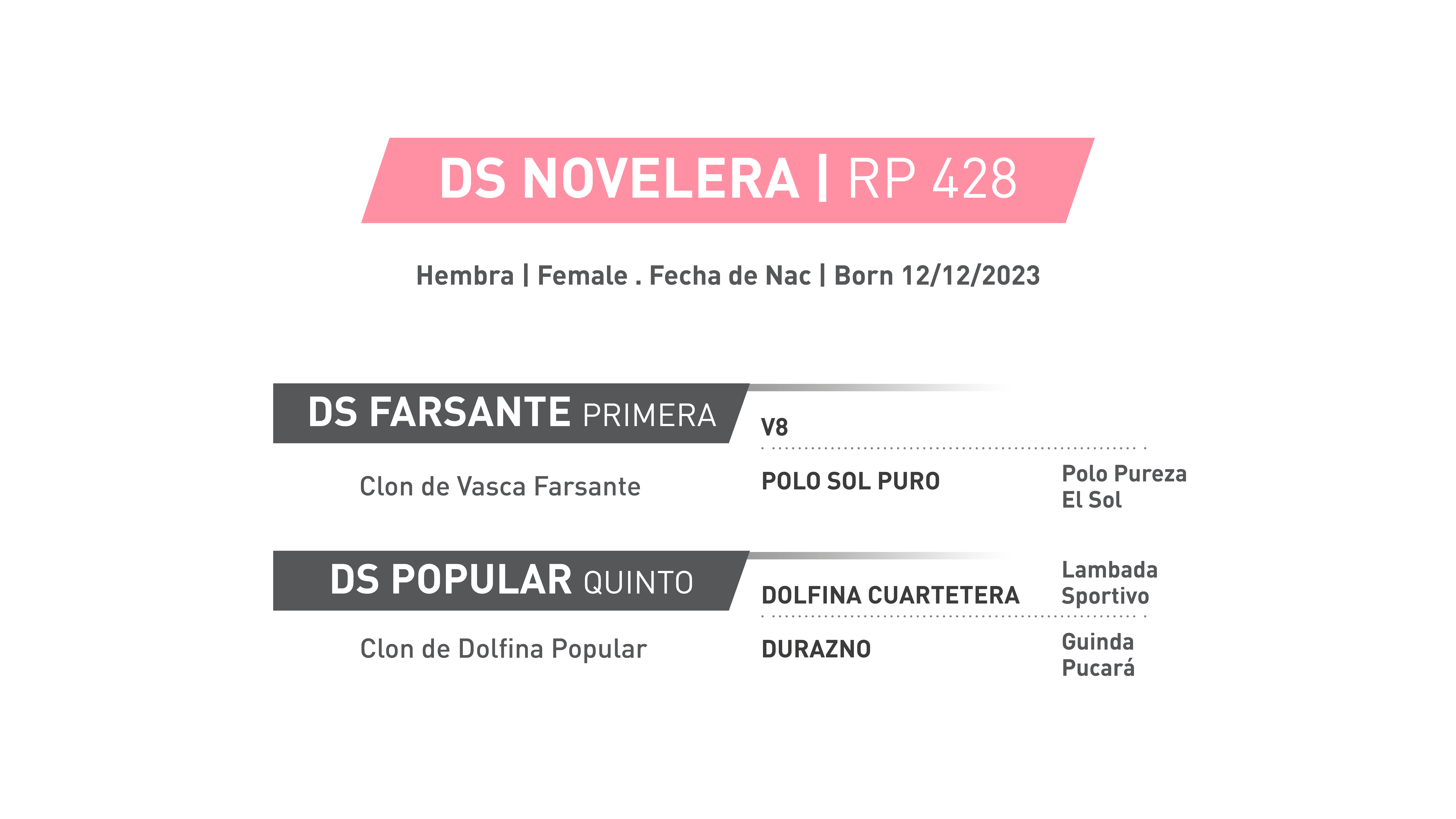 Pedigree RP 428 | DS NOVELERA