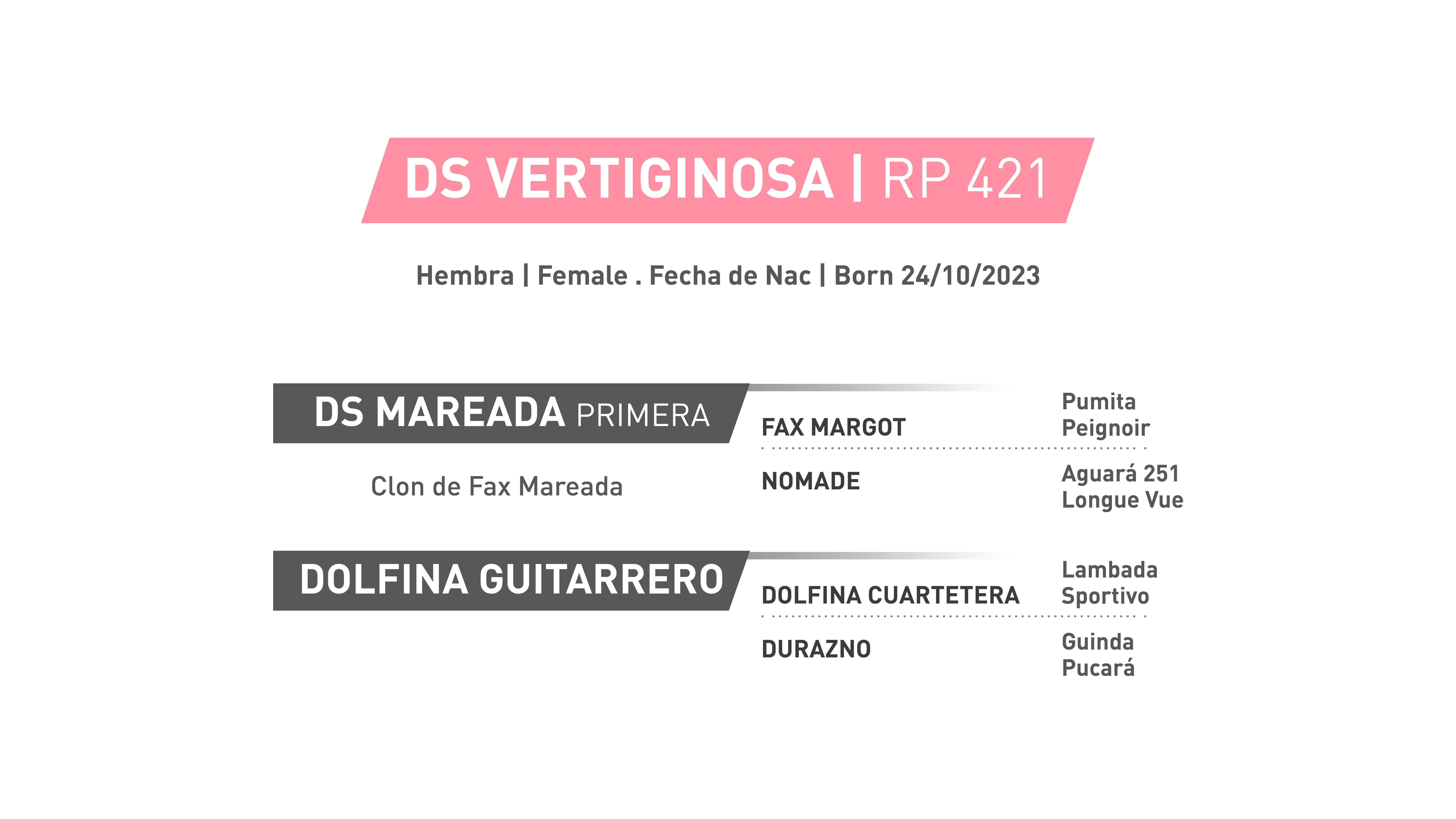 Pedigree RP 421 | DS VERTIGINOSA