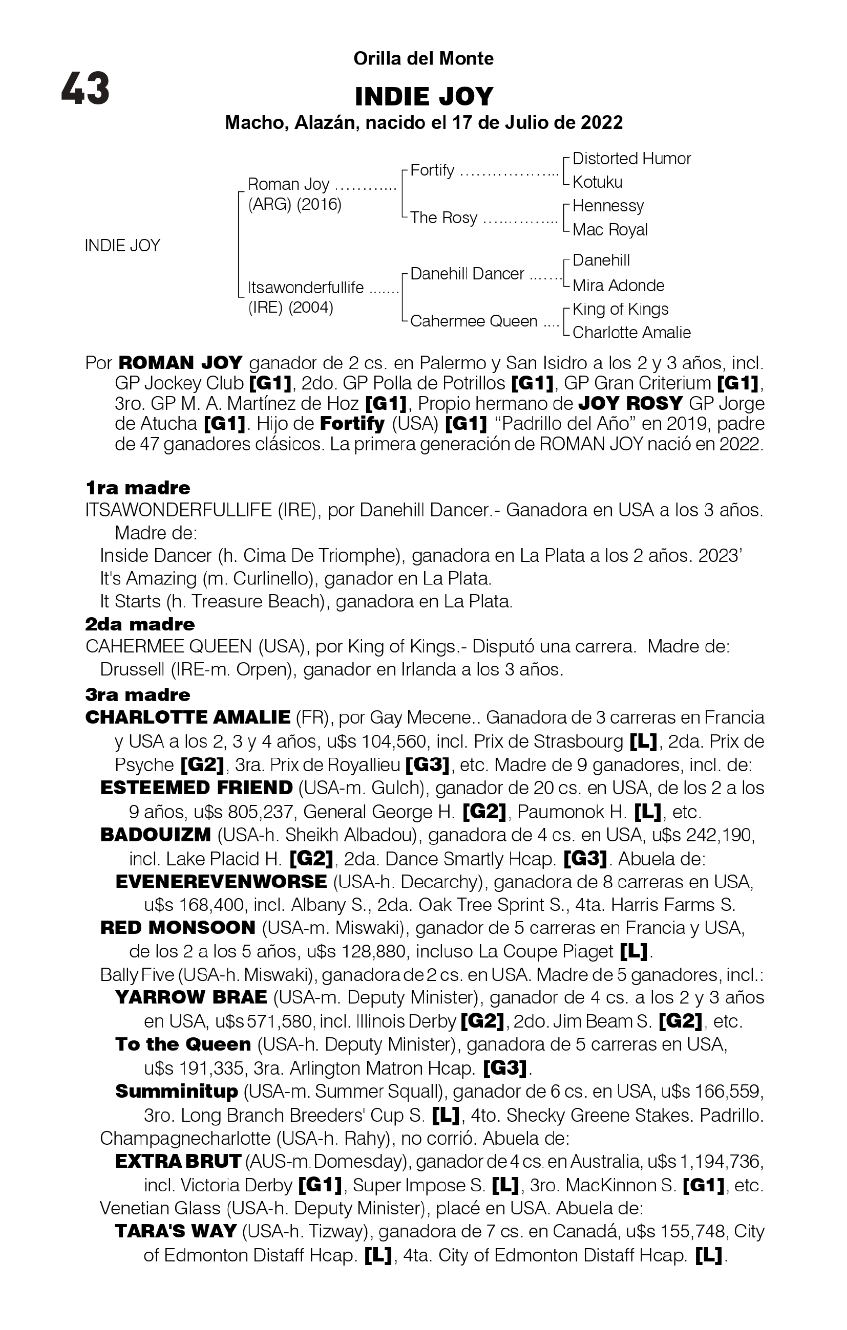 Pedigree INDIE JOY