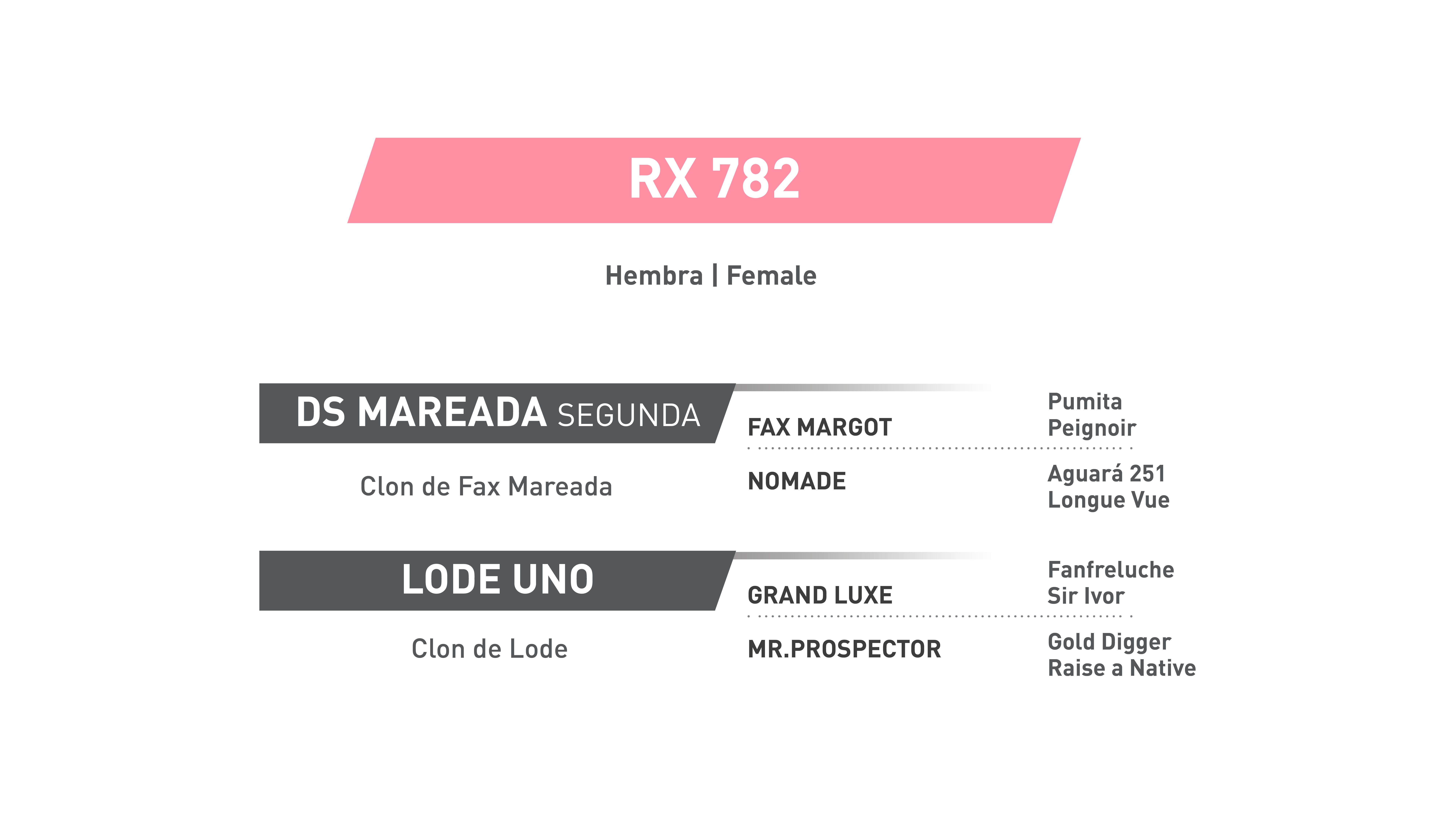 Pedigree RX 782