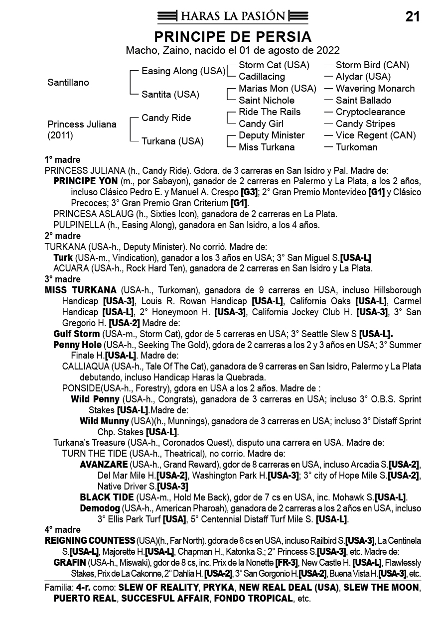 Pedigree PRINCIPE DE PERSIA